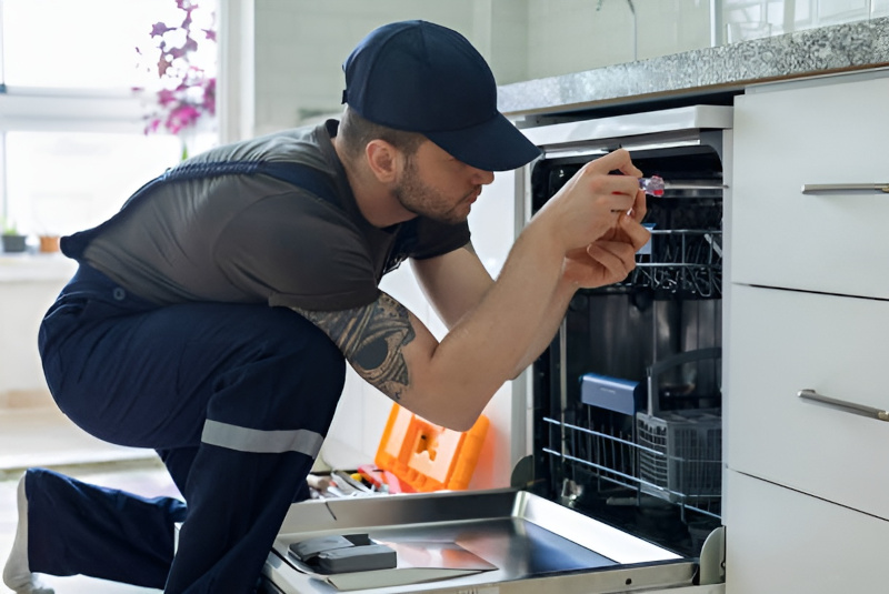 Dishwasher repair in Industry